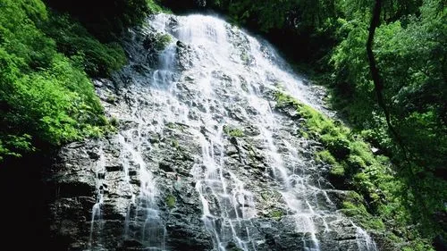 节能高端全自动